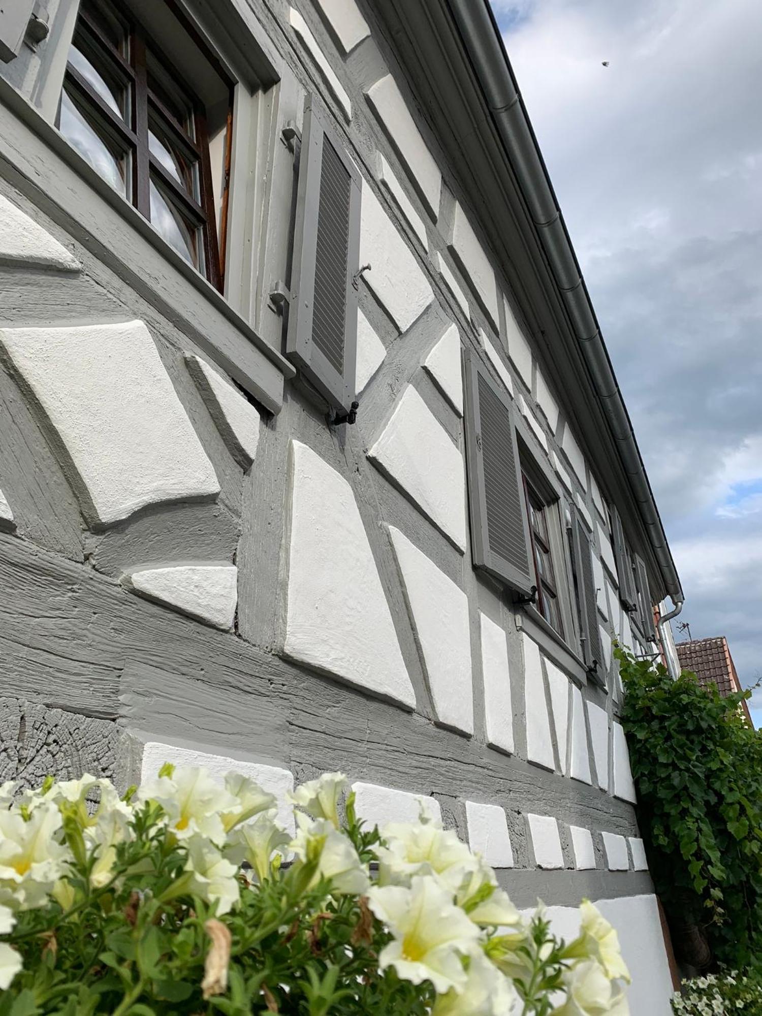 Ferienwohnung Sambachhaus グライスツェレン・グライスホルバッハ エクステリア 写真