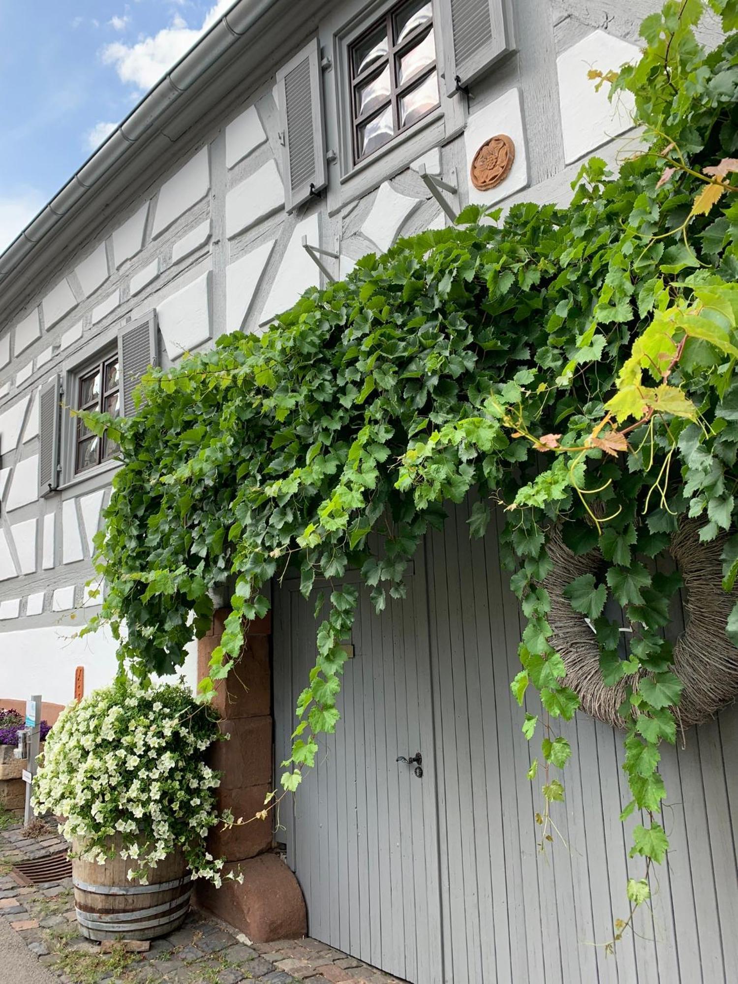 Ferienwohnung Sambachhaus グライスツェレン・グライスホルバッハ エクステリア 写真